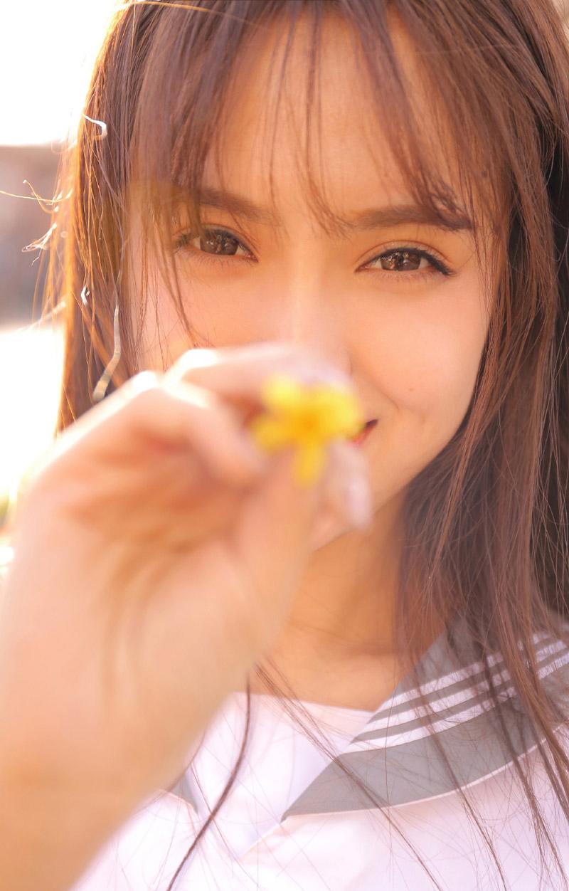 描写菊花的作文